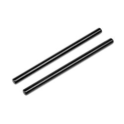 Hinge Pin (Rear/Inner)