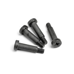 Step Screw M4X17Mm (4Pcs)