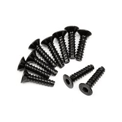 Tp. Flat Head Screw M3X12Mm (Hex Socket/10Pcs)