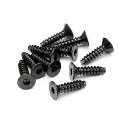 Tp Flat Head Screw M4X15Mm (Hex Socket/10Pcs)