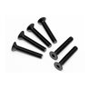 Flat Head Screw M5X30Mm (Hex Socket/6Pcs)