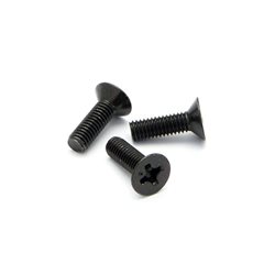 Flat Head Screw M3 X 10Mm (6Pcs)