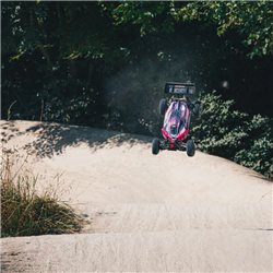 1/8 TYPHON 6S TLR Tuned 4X4 Roller Brushless Buggy Pink/Purple