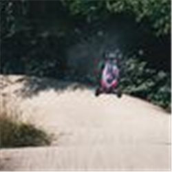 1/8 TYPHON 6S TLR Tuned 4X4 Roller Brushless Buggy Pink/Purple