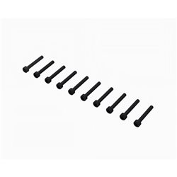 Cap Head Screw M3x22mm (10)