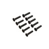 Flat Head Screw M2x10mm (10)
