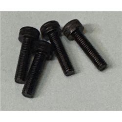 Backplate Screws 21GPX