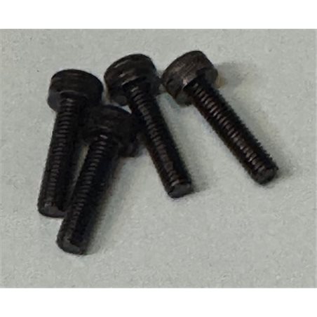 Backplate Screws 21GPX