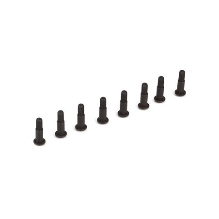 King Pin Screws (8): 22-4
