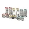 FR Spring Assortment for 635900 PowerStroke Shock