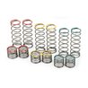 RR Spring Assortment for 635901 PowerStroke Shock