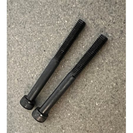 Carburettor bolts 2 pcs