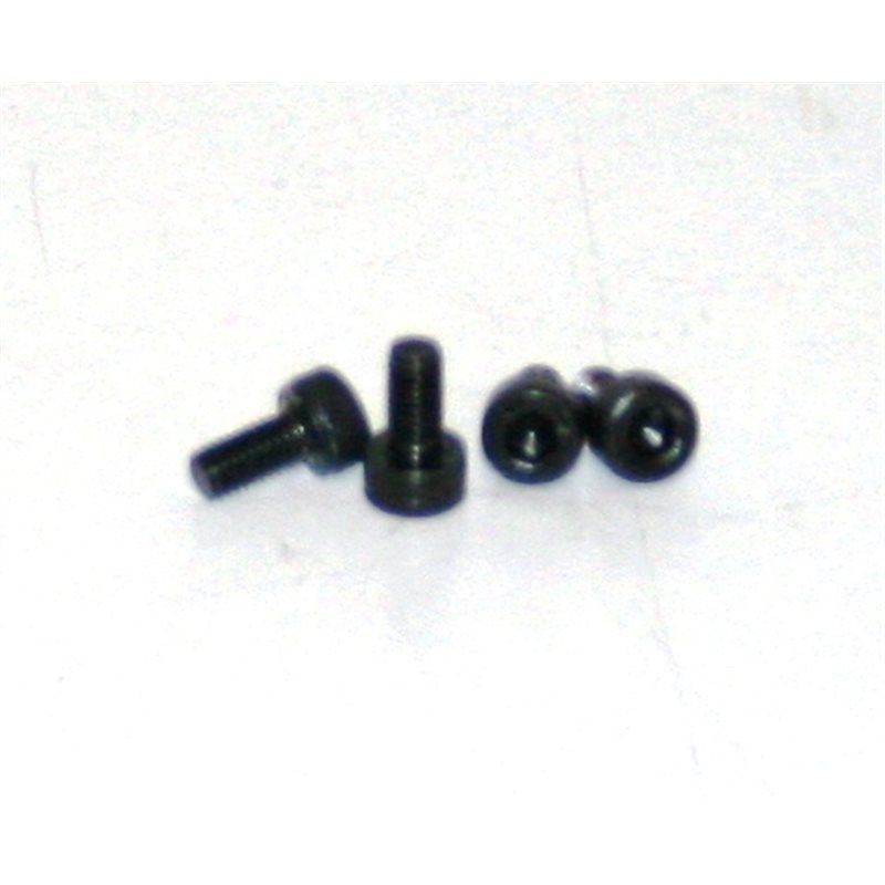 Needle Valve Screws 3x6