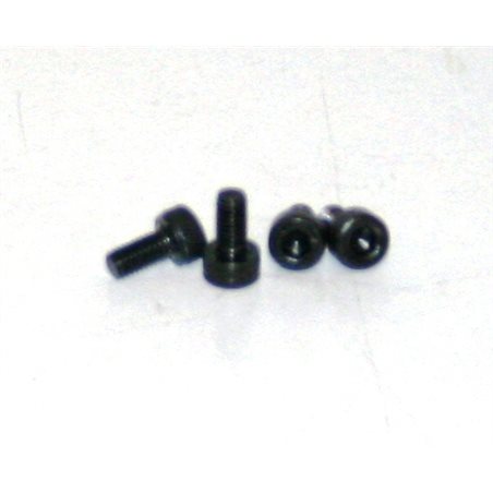 Needle Valve Screws 3x6