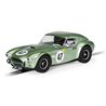 Shelby Cobra 289, COB289, Bill Shepherd