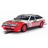 Rover Vitesse Donington 500KMS Percy & Walkinshaw
