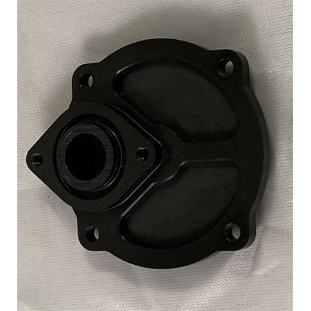 Backplate (carb)