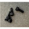 Backplate (carb) screws