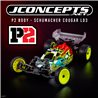 P2 - Schumacher Cougar LD3, lightweight P2 - Schumacher Cougar LD3, lightweight