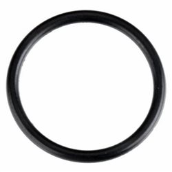 O-Ring (S-16)