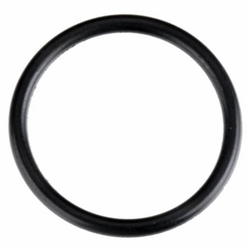 O-Ring (S-16)