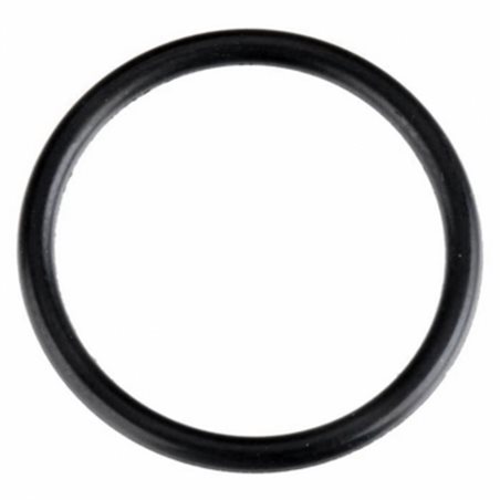 O-Ring (S-16)