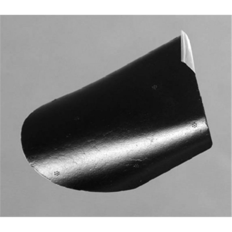 Batterilock Super EZ FMS