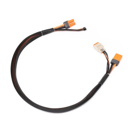 Charge lead w/Bal Ext. 24 inch IC5, 2-4S