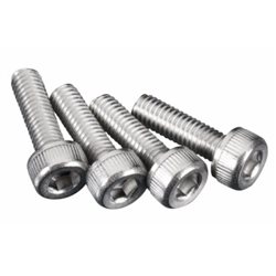 Skruv (4) till Utombordare 21XM