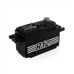Power HD Servo RS12S Metal...