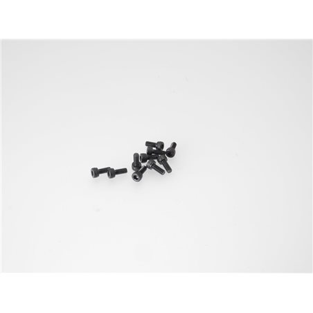 BACKPLATE SCREW (10PCS) 