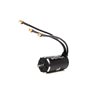 Firma 4685 1250Kv 4-Pole Brushless Motor: 5mm