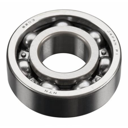 Ball Bearing Rear GT60