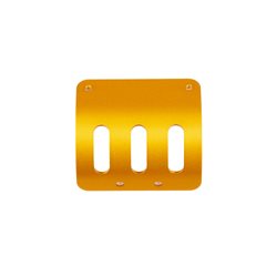 RC10 MOTOR GUARD GOLD