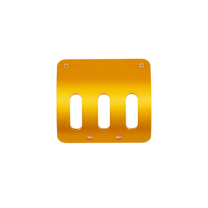 RC10 MOTOR GUARD GOLD