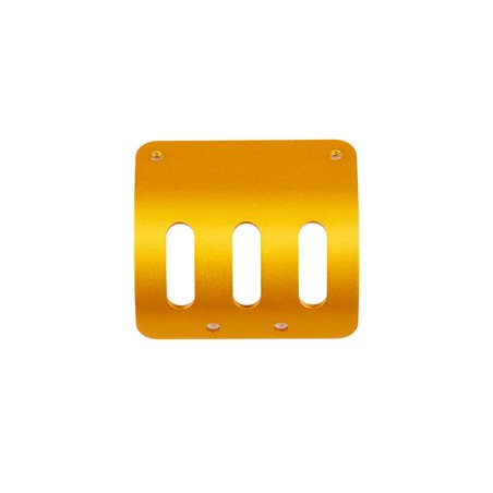 RC10 MOTOR GUARD GOLD