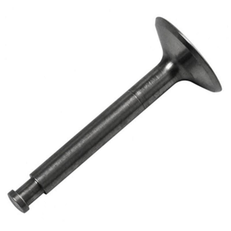 Insugsventil FS70S2/91S2