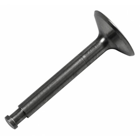 Insugsventil FS70S2/91S2