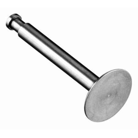 Avgasventil FS70S2/91S2