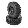 CR28 RTR