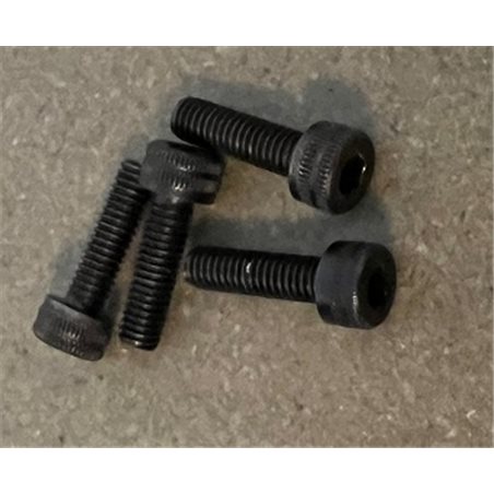 Back plate bolts 4 pcs